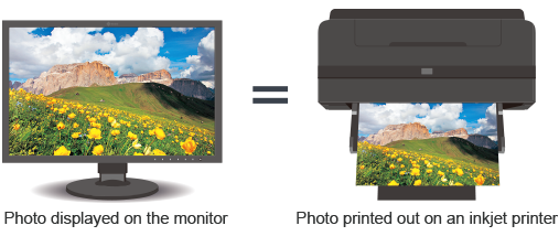 photobee photo printer